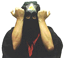 Sin nox vir2.gif